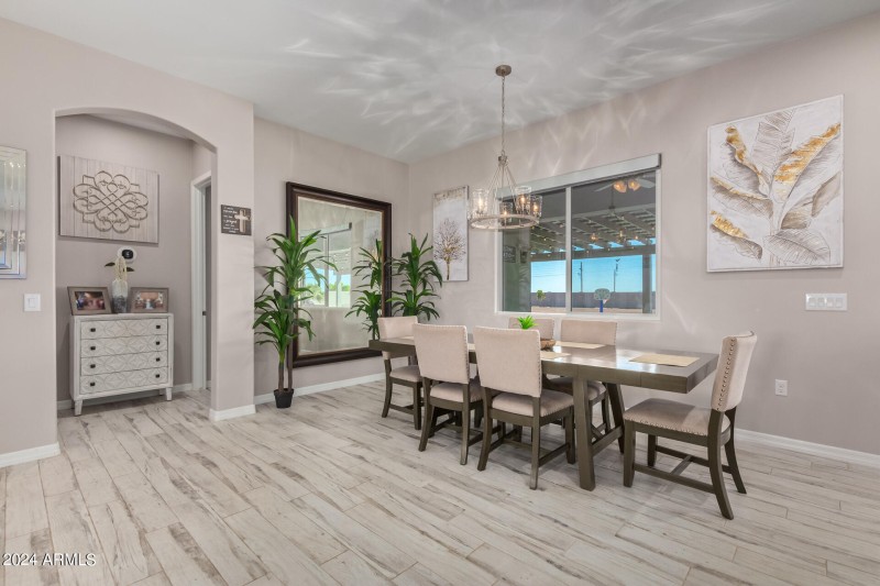 15 - Appaloosa 10265