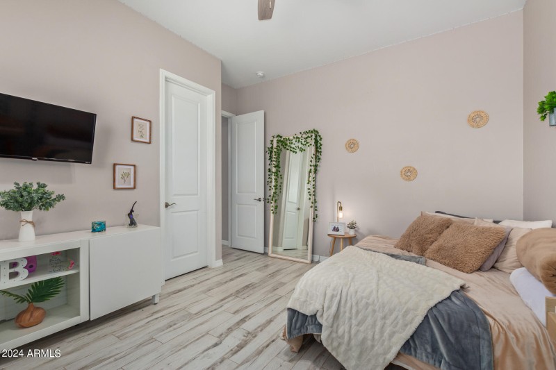 31 - Appaloosa 10265