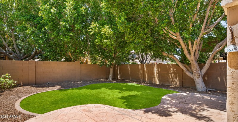 Backyard with Grass Added4