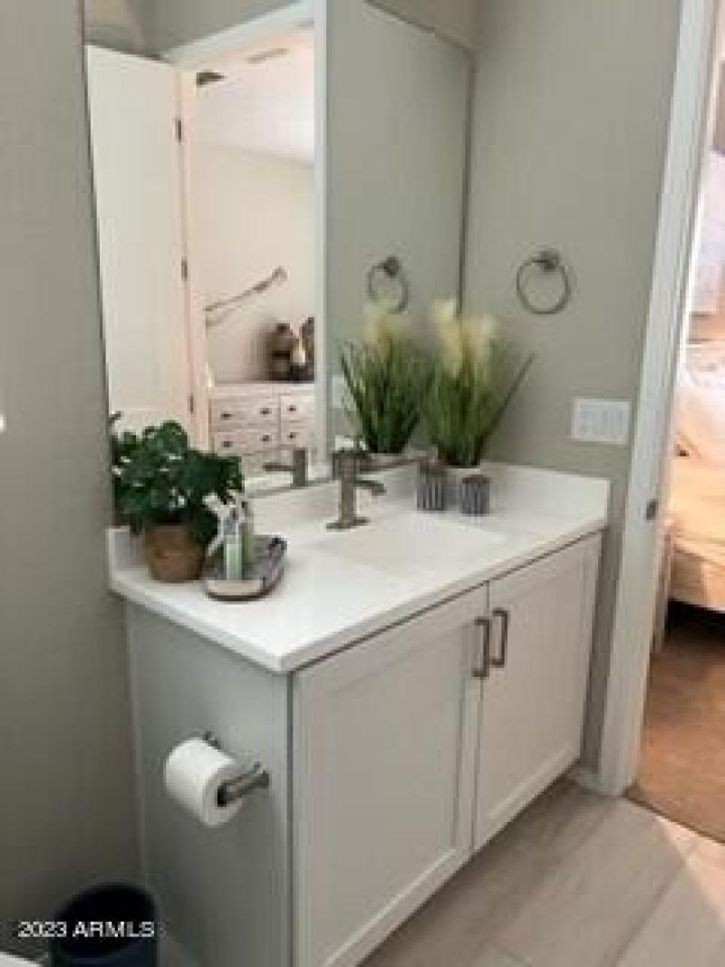 Wahalla guest bath sink