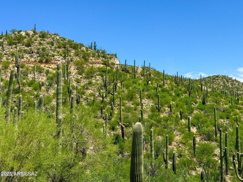 20250731153241054734000000-o