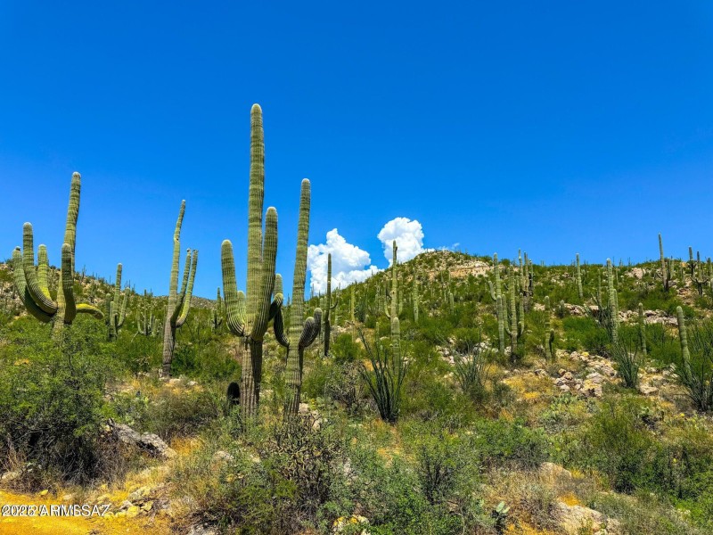 20250731153242238124000000-o