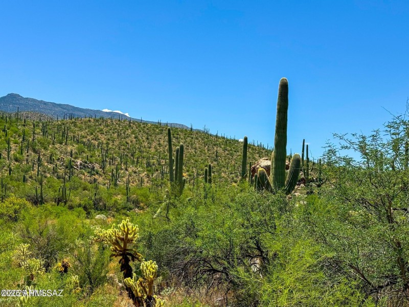 20250731153243380069000000-o