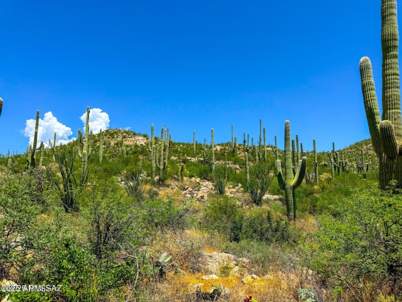 20250731153244601410000000-o