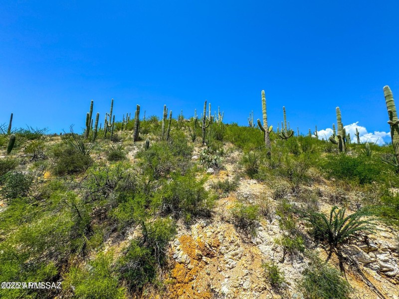 20250731153248029203000000-o