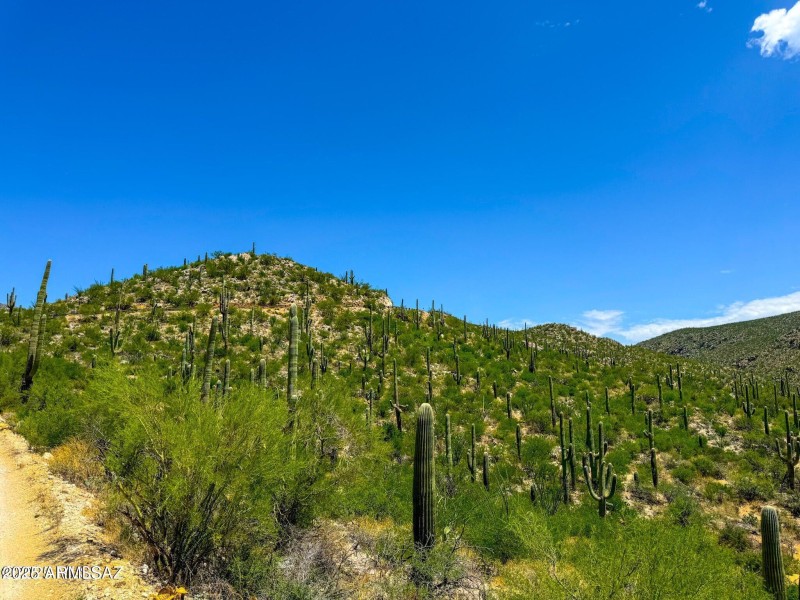 20250731153249183051000000-o