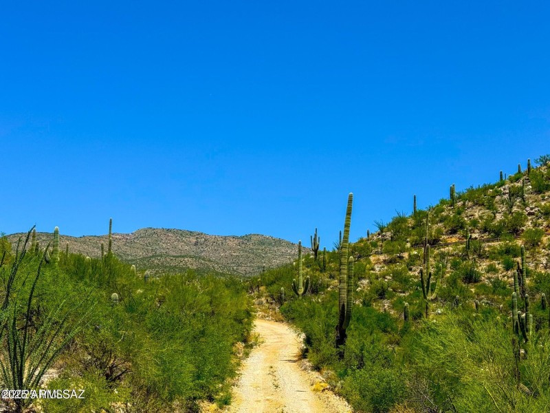 20250731153250356478000000-o