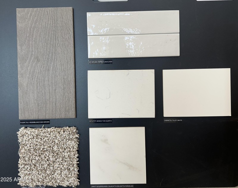 Remington Interior Package 1 For MLS