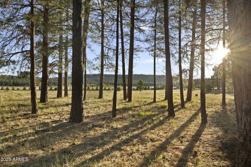 25-web-or-mls-FA9A5431