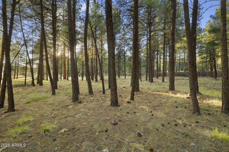 24-web-or-mls-FA9A5426