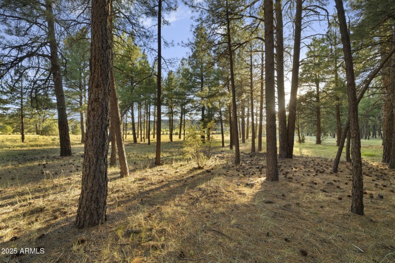 23-web-or-mls-FA9A5421