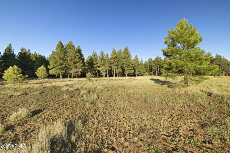 19-web-or-mls-FA9A5401