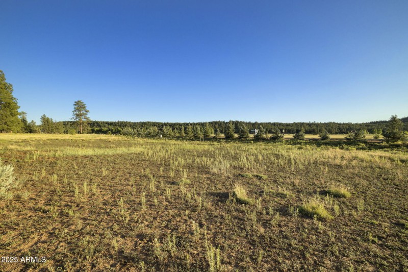 18-web-or-mls-FA9A5396