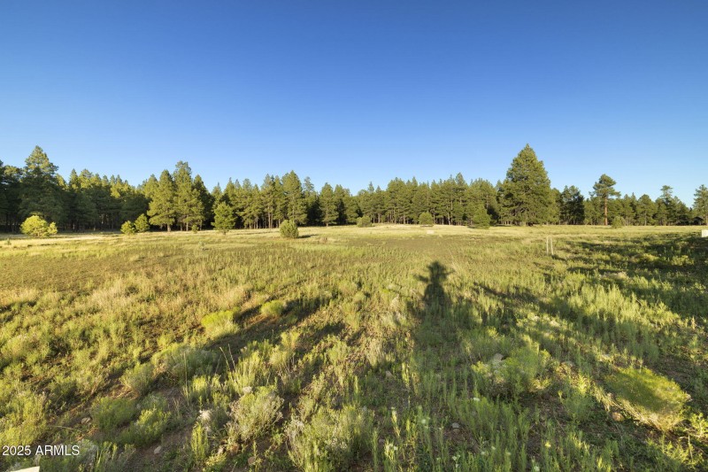 17-web-or-mls-FA9A5392