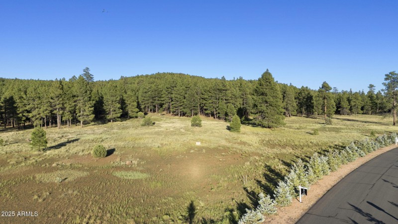 1-web-or-mls-DJI_20250723182705_0345_D