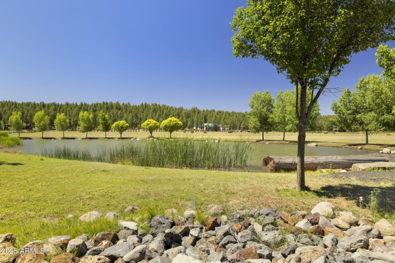 7-web-or-mls-FA9A8867