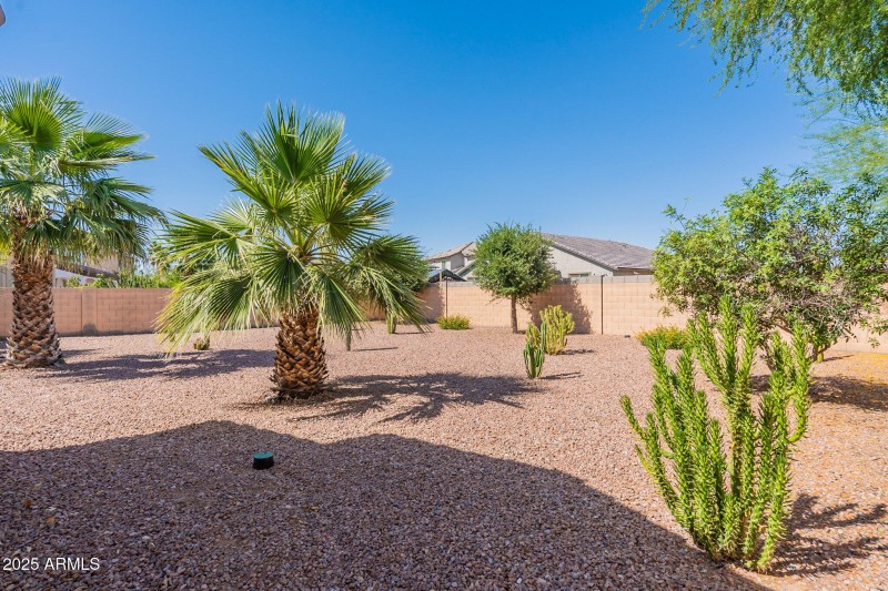 Large Backyard