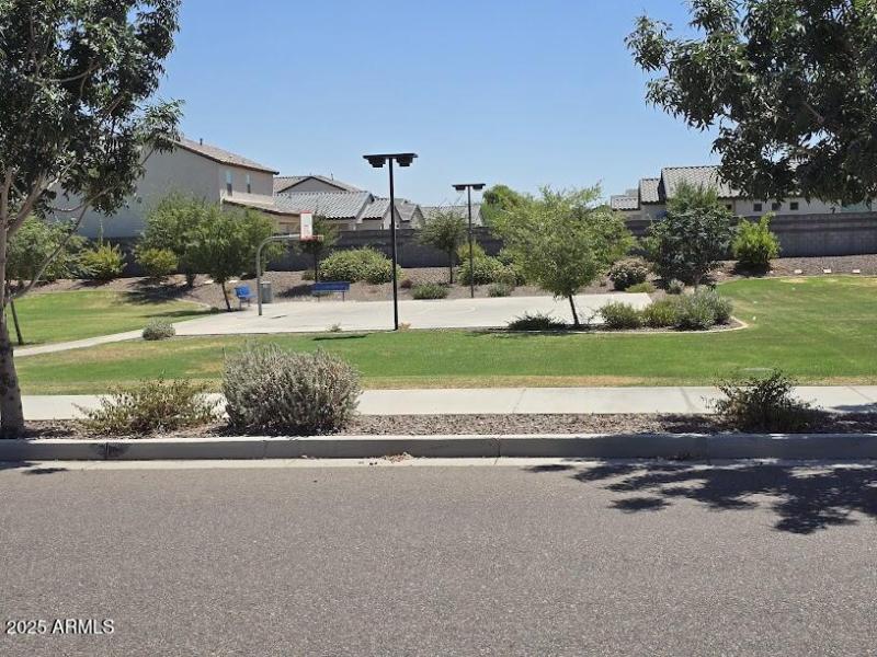 Basketball half court