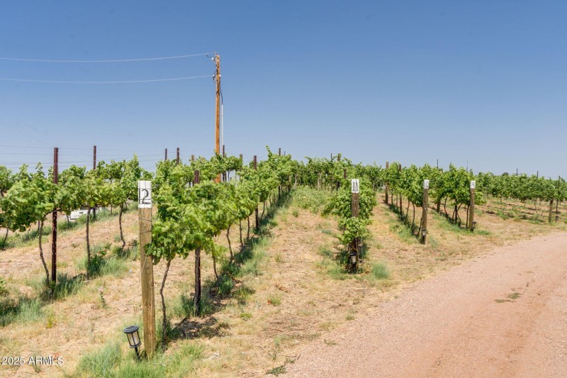 23-web-or-mls-Harvest Dr-3