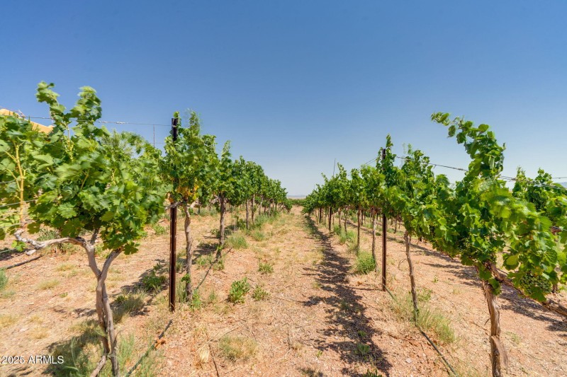 92-web-or-mls-Harvest Dr-72