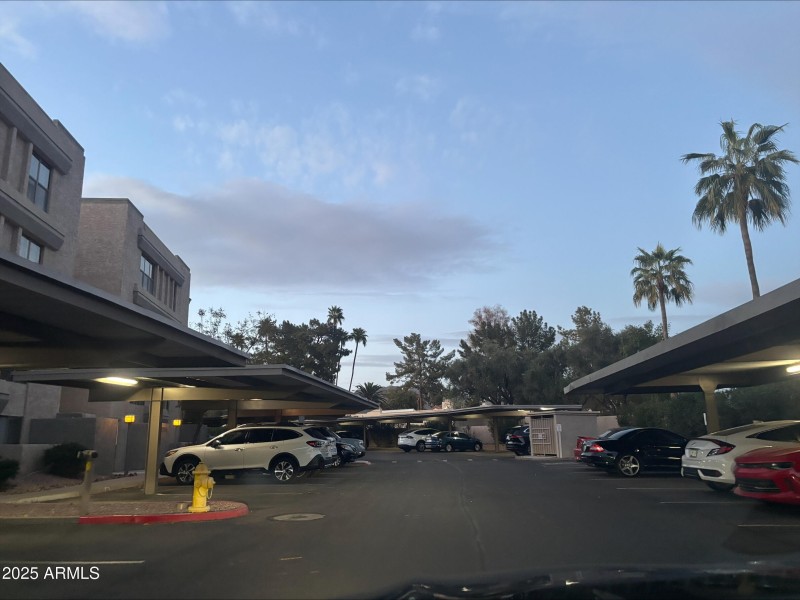 processed-896DC9AD-D7FD-4BAE-A59A-D856D7