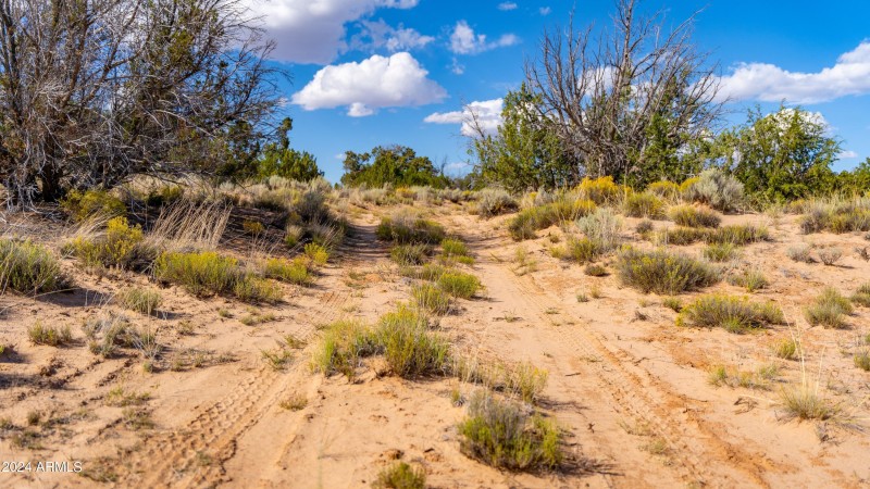 N7204 ROUGH PATCH AT NE CORNER