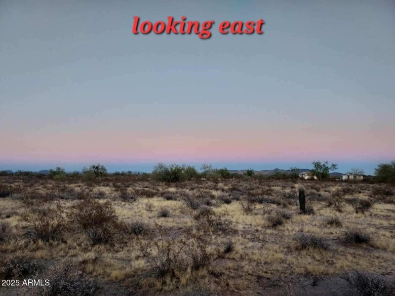 Resized_Resized_20231103_174213