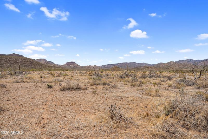 2-web-or-mls-DSC05923