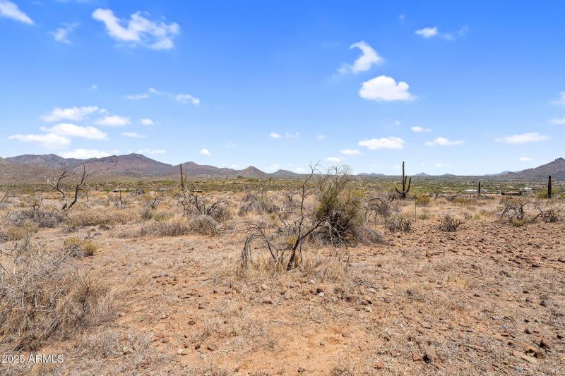 3-web-or-mls-DSC05926