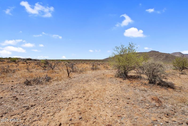 6-web-or-mls-DSC05935