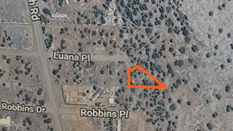 PXL_20250730_171215475~2