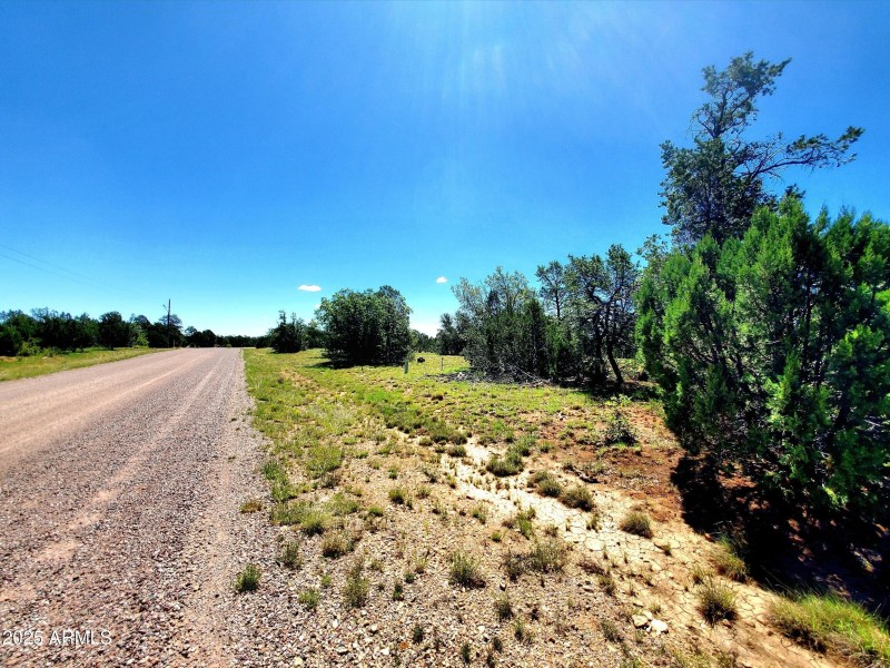 20250730_105717_resized