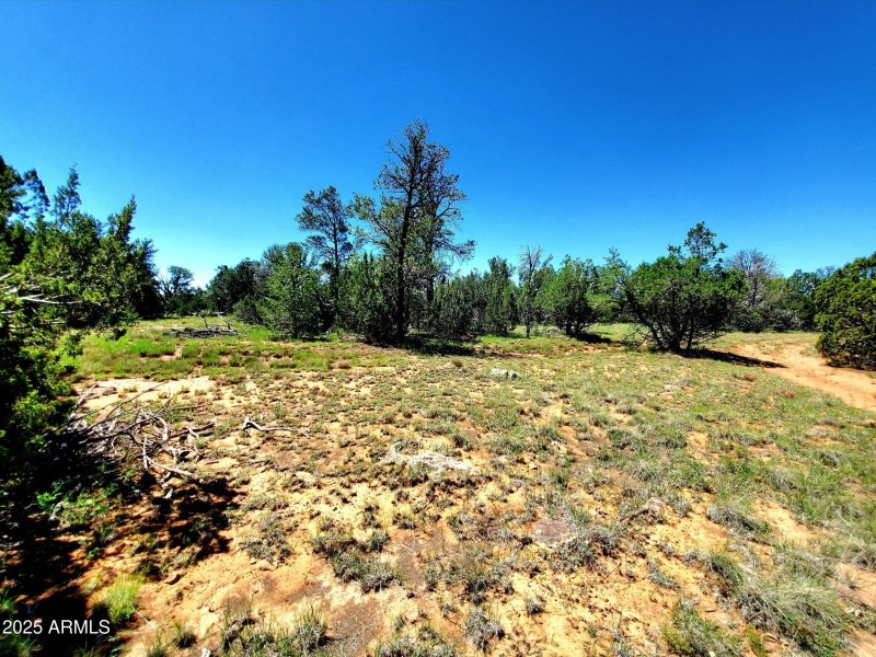 20250730_105948_resized