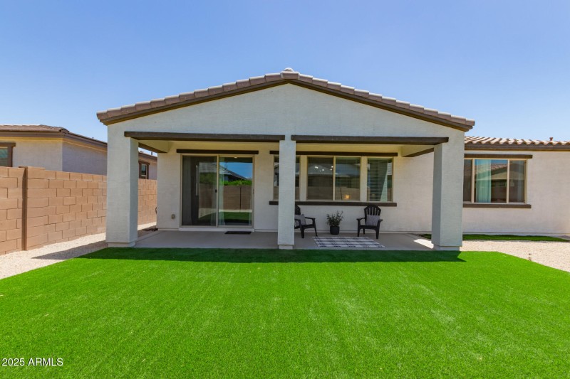 Back yard