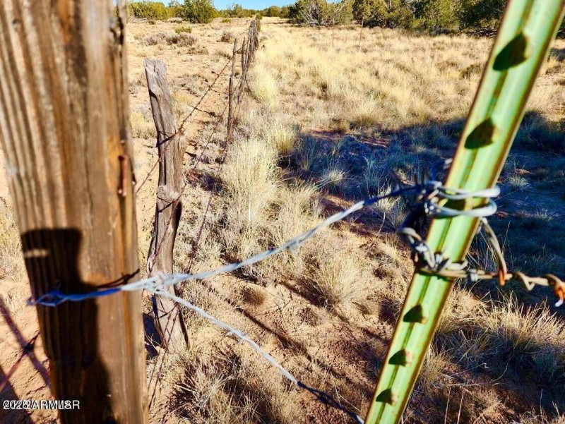 20250621065038833074000000-o