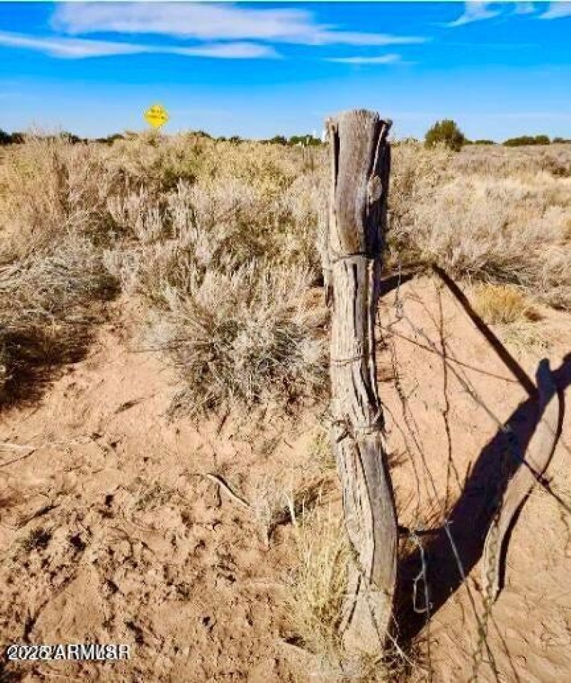 20250621065108421407000000-o