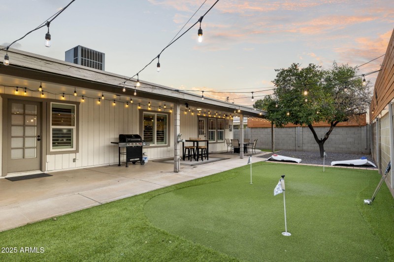 Backyard