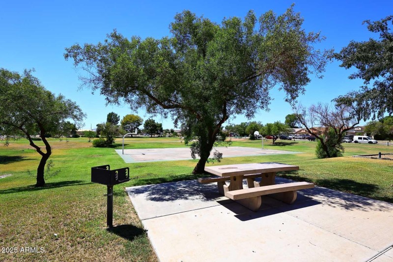 Community Park-Picnic Area