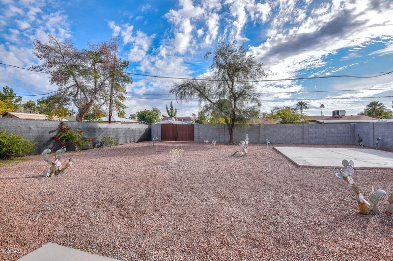 Backyard3