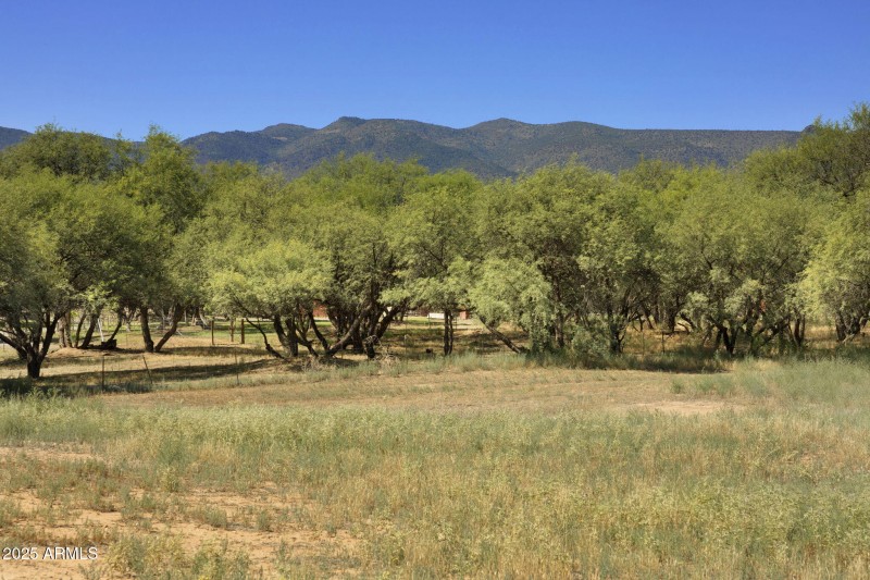 35-web-or-mls-FA9A8852