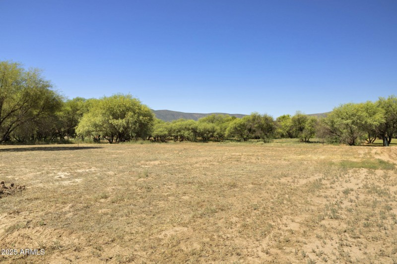 36-web-or-mls-FA9A8857