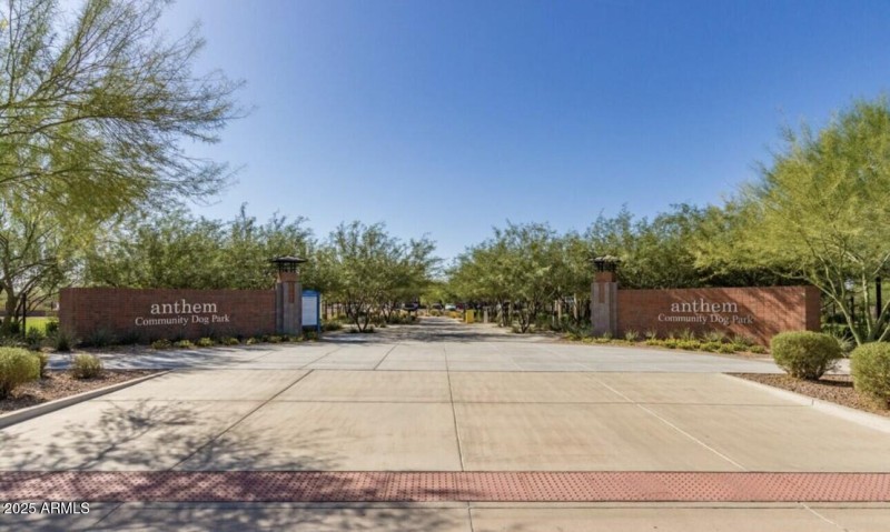 DOG PARK
