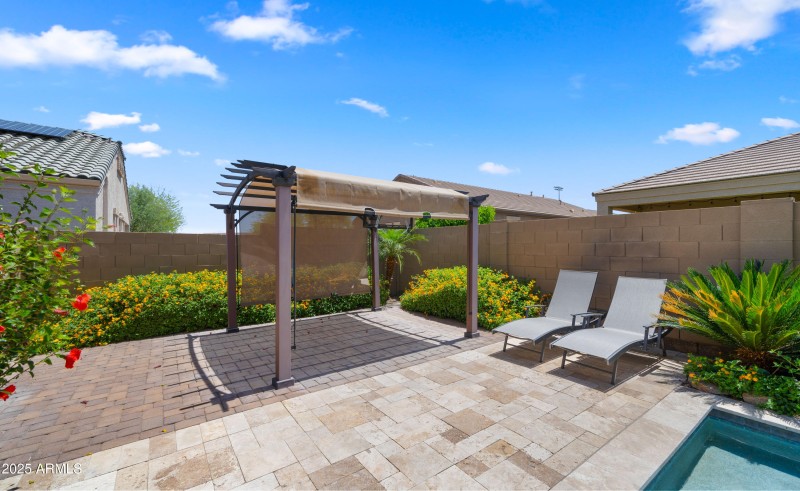 Backyard1