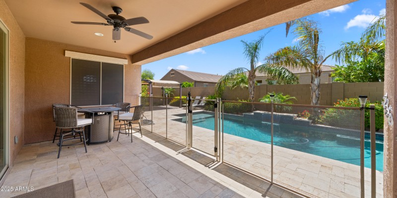 Backyard2