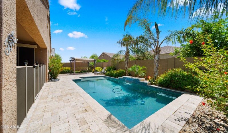 Backyard3