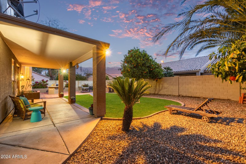 Twilight Backyard