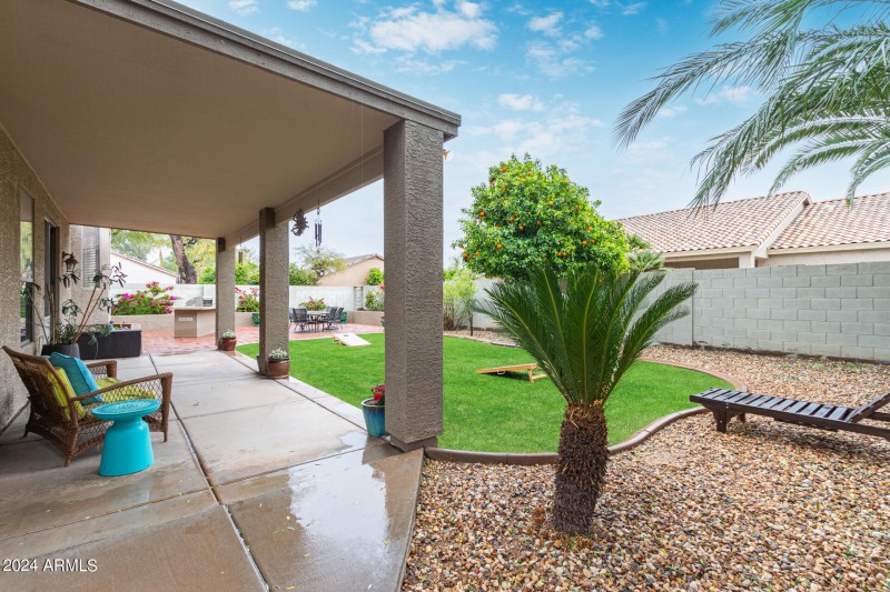 Backyard