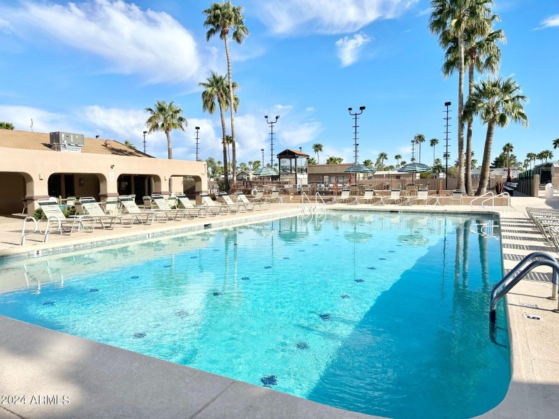 Golden Vista Large Lap Pool