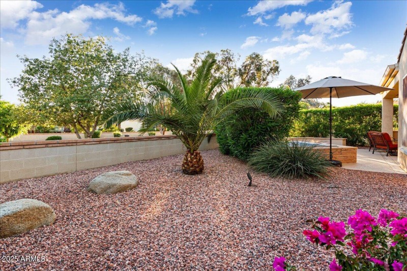 54-Backyard