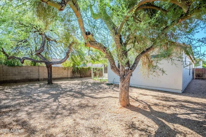 40-print-Park-40_genErase_genErase